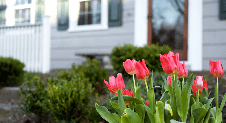 Spring Sellers Have an Edge. Here’s Why. — Simplifying the Market